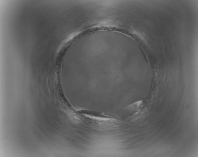 X0000061751159200512161709