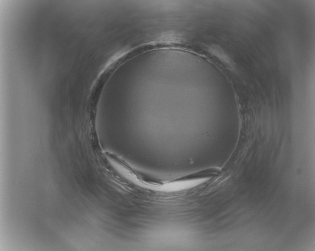 X0000061751160200512161709