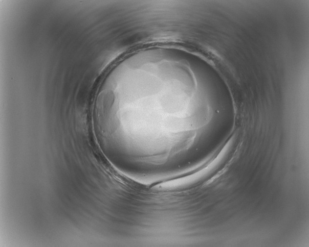 X0000061751162200512161709