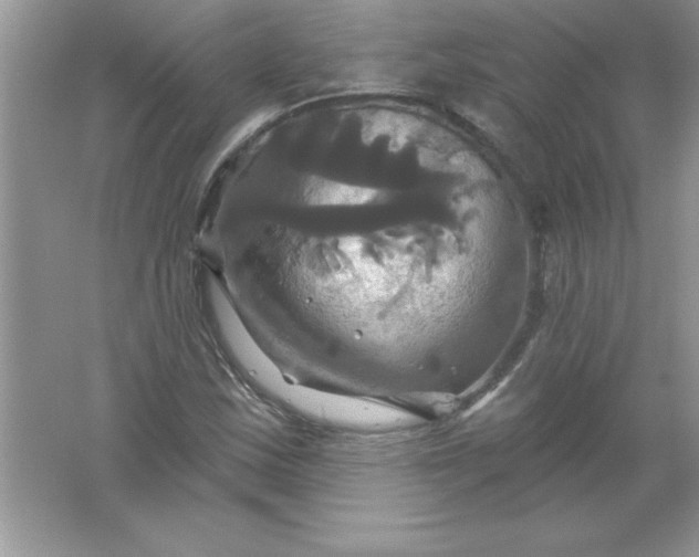 X0000061751163200512161709