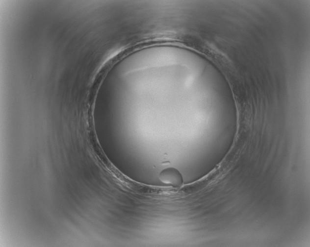 X0000061751166200512161709