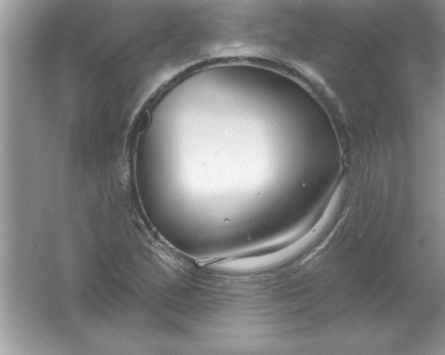 X0000061751167200512161709