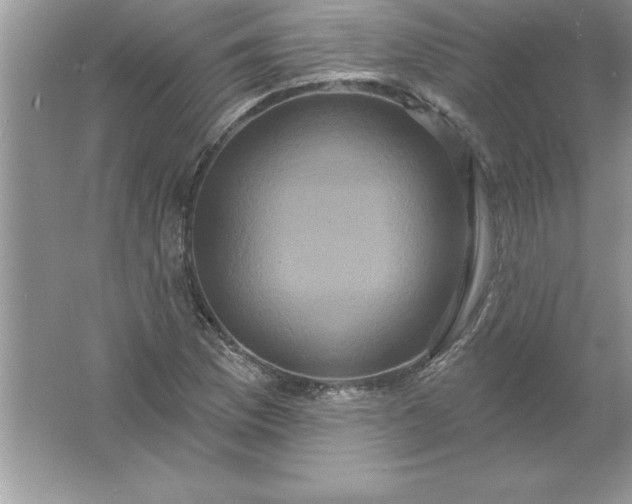 X0000061751169200512161709