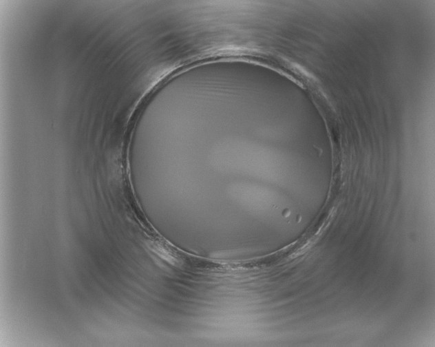 X0000061751170200512161709