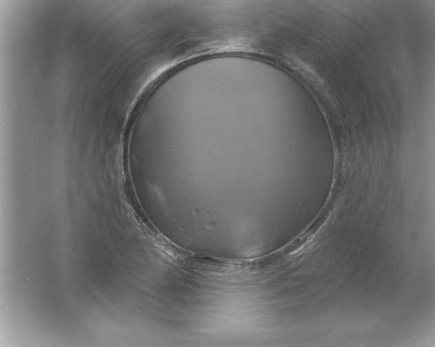 X0000061751174200512161709