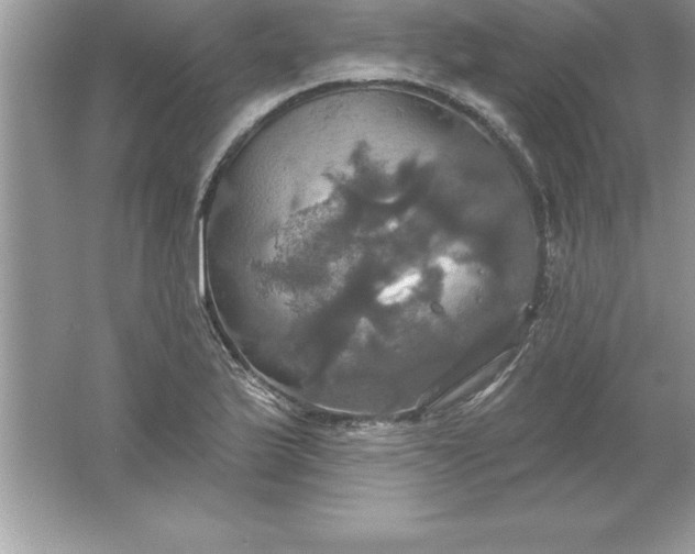 X0000061751175200512161709