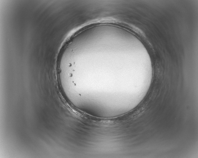 X0000061751176200512161709