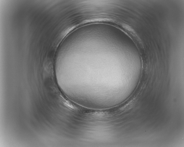 X0000061751177200512161709