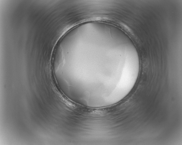 X0000061751178200512161709