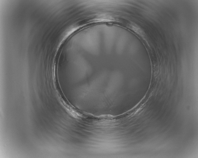 X0000061751179200512161709