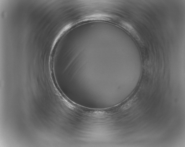 X0000061751180200512161709