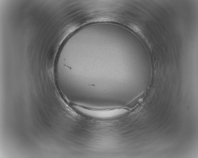 X0000061751181200512161709