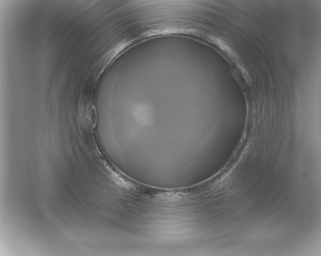 X0000061751185200512161708