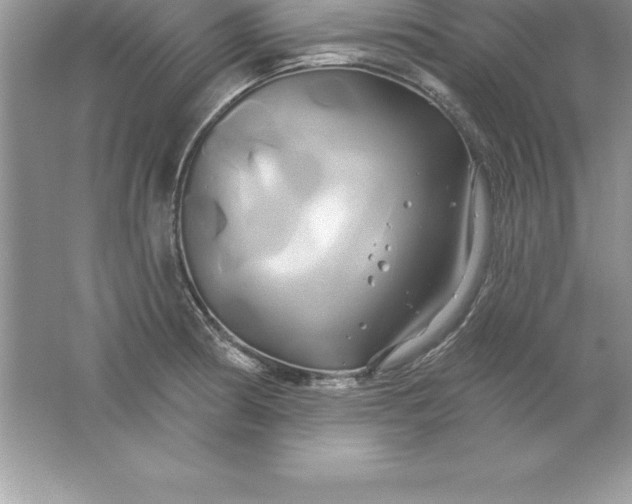 X0000061751186200512161708