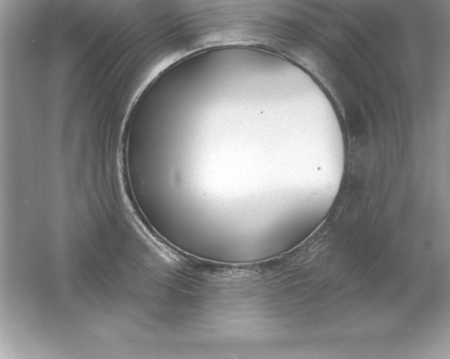 X0000061751187200512161708