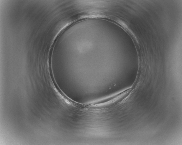 X0000061751189200512161708