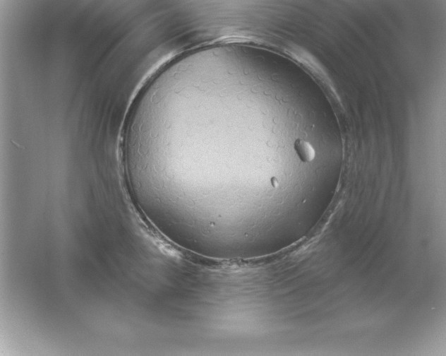 X0000061751190200512161708