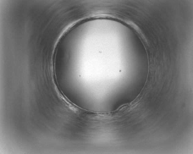 X0000061751191200512161708