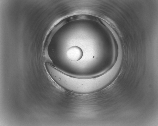 X0000061751192200512161708