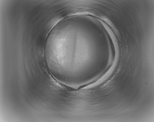 X0000061751193200512161708