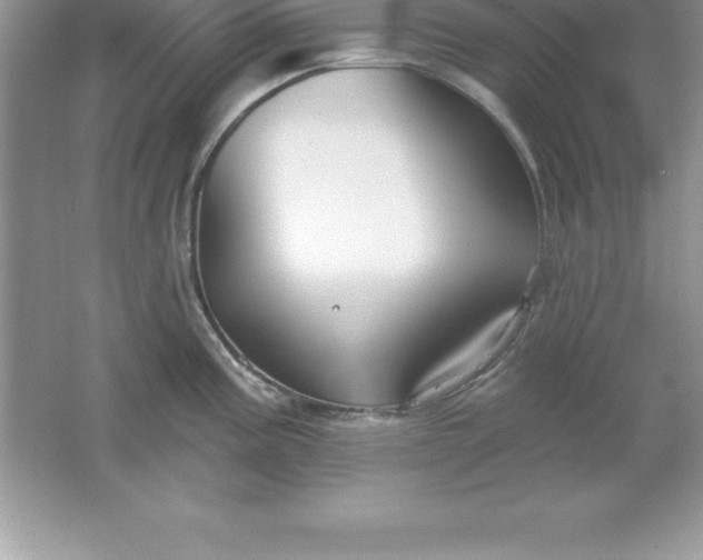 X0000061751195200512161708