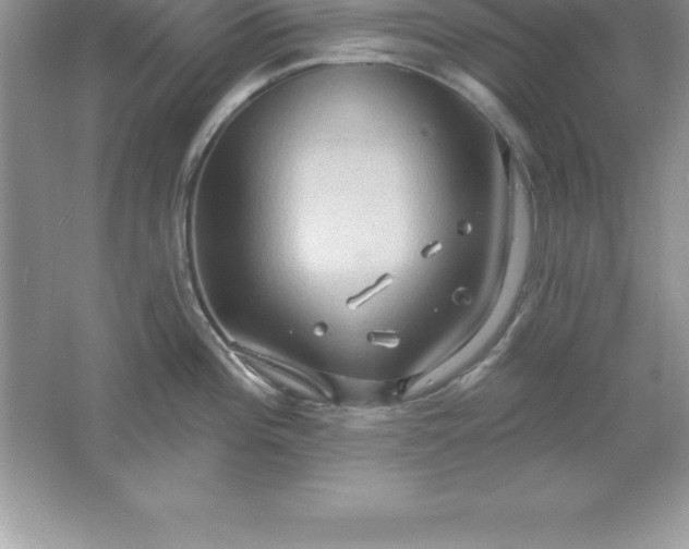 X0000061751196200512161708