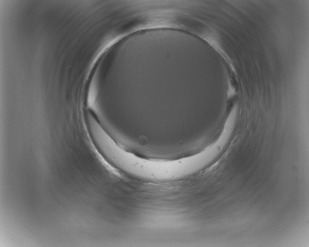 X0000061751197200512161708