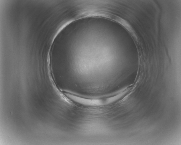 X0000061751198200512161708