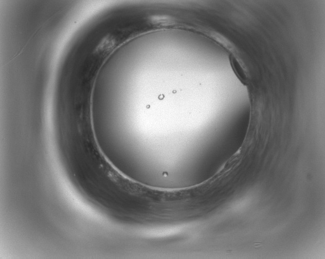 X0000061751199200512161708