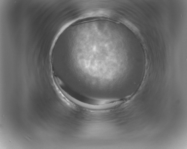 X0000061751200200512161708