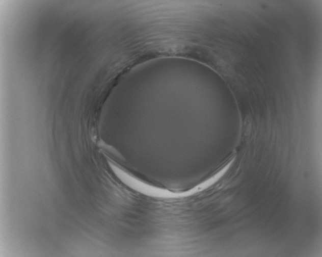 X0000061751202200512161707