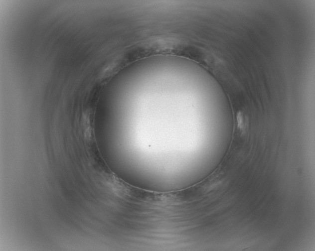 X0000061751203200512161707