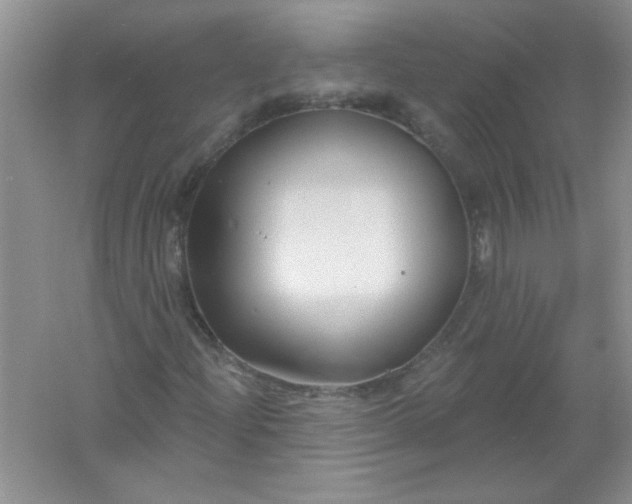 X0000061751204200512161707