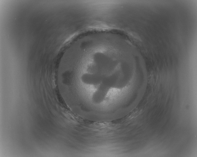 X0000061751205200512161707