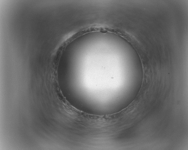 X0000061751207200512161707