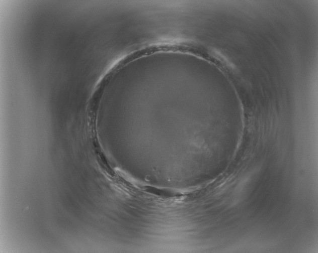 X0000061751208200512161708