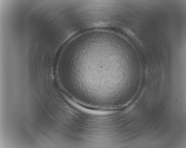 X0000061751209200512161708