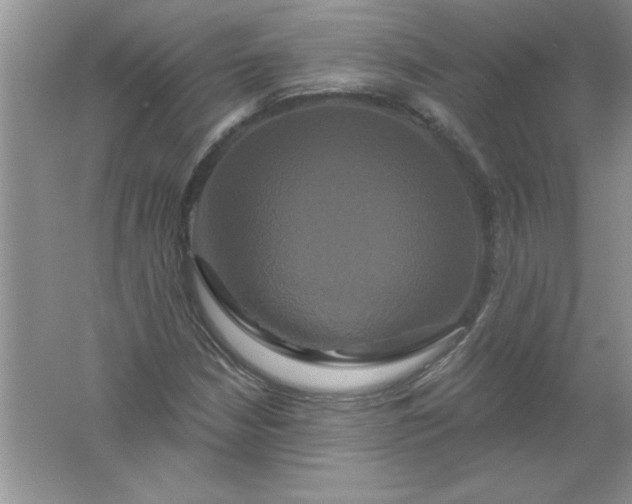 X0000061751210200512161708