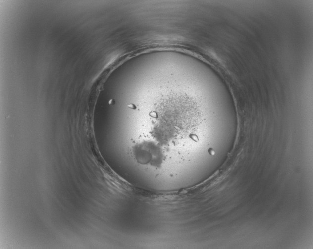 X0000061751211200512161708