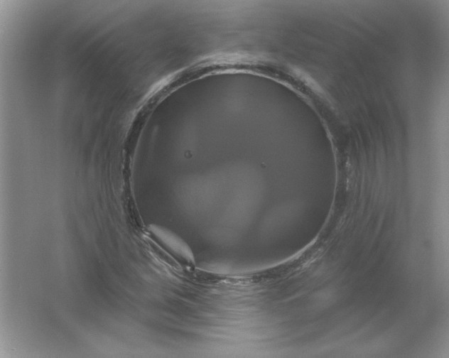 X0000061751213200512161708