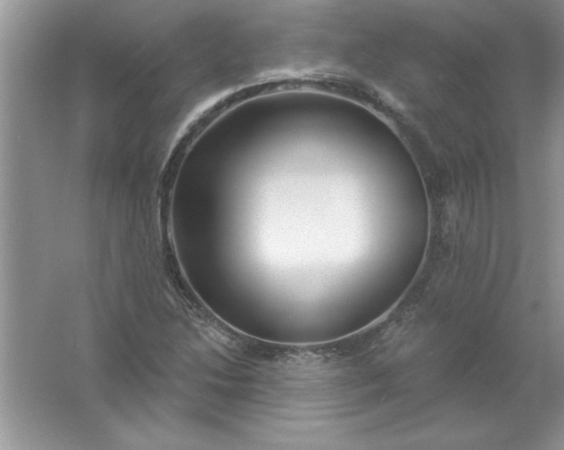 X0000061751214200512161708