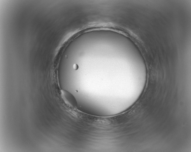 X0000061751215200512161708