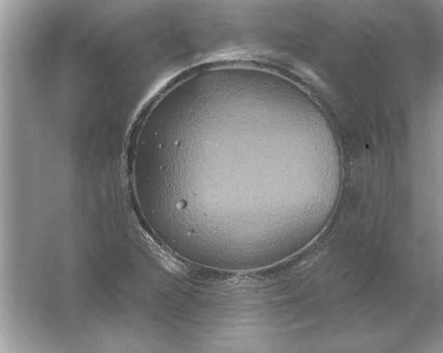 X0000061751216200512161708