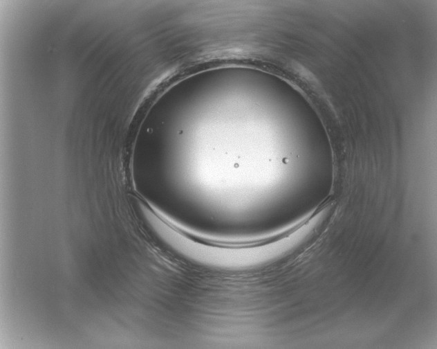 X0000061751218200512161708