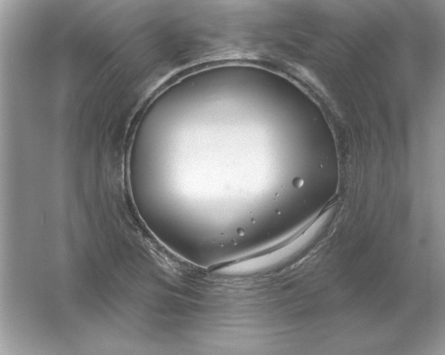 X0000061751220200512161708