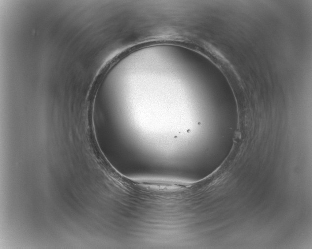 X0000061751222200512161708