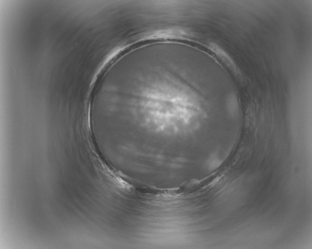 X0000061751224200512161708