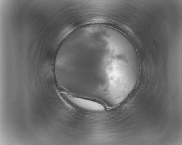 X0000061751225200512161708