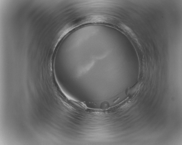 X0000061751226200512161708