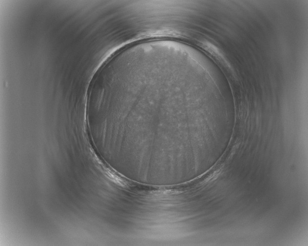 X0000061751228200512161708